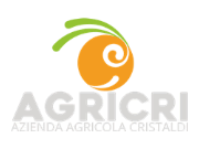 Arance online logo