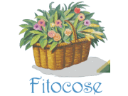 Fitocose