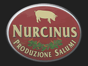 Nurcinus