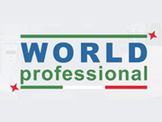 Professional world logo
