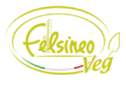 FelsineoVeg logo