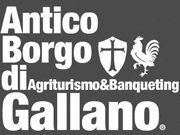 Agriturismo Antico Borgo di Gallano logo