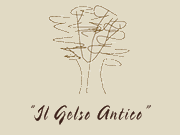 Agriturismo Il Gelso Antico logo
