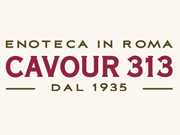 Cavour 313 logo