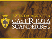 Castriota Scanderbeg logo