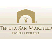 Tenuta San Marcello logo