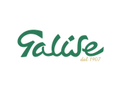 Galise logo