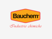 Bauchem