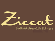 Ziccat logo