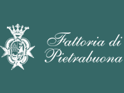 Fattoria di Pietrabuona logo