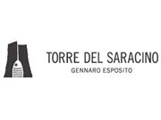 Torre del Saracino logo