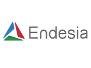 Endesia logo