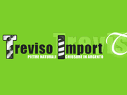 Treviso Import logo