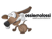 Ossiemolossi logo
