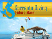 Sorrento Diving logo