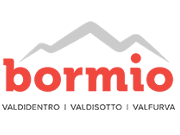 Visita lo shopping online di Bormio