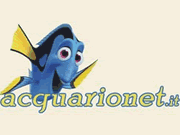 Acquarionet logo