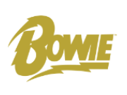 David Bowie logo