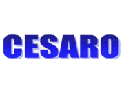 Cesaro Fiat logo