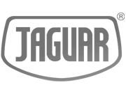 Jaguar Valigie logo