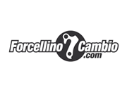 Forcellinocambio logo