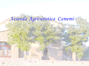Agriturismo Camemi logo