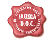 Gomma Doc logo