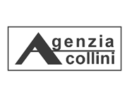 Agenzia Immobiliare Collini logo
