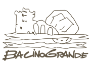 Bacino Grande logo