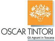Oscar Tintori logo