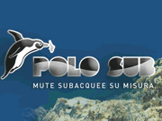 Polosub logo