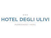 Hotel del Faro pugnochiuso logo