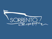 Sorrento Experience logo