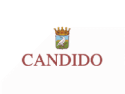 Candido wines logo