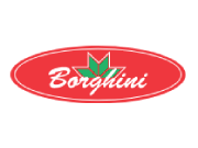 Borghini logo