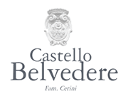 Castello Belvedere codice sconto