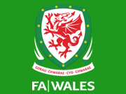 Galles Nazionale Calcio logo