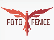 Foto Fenice logo