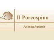 il Porcospino logo