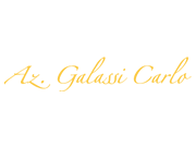 Galassi Carlo Labirinto Dinamico logo