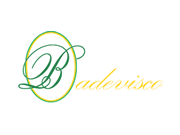Badevisco logo