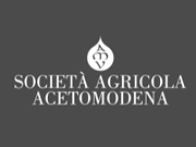 Aceto Modena logo