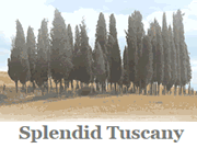 Visita lo shopping online di Splendid Tuscany