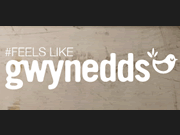 Gwynedds logo
