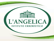 Angelica logo