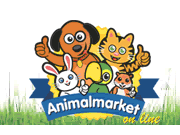 Visita lo shopping online di Animalmarketonline