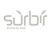 Surbir logo