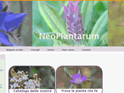 Neoplantarum codice sconto
