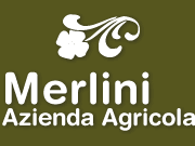 Olio di Toscana Merlini logo