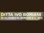 Ditta Ivo Boriani logo